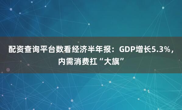 配资查询平台数看经济半年报：GDP增长5.3%，内需消费扛“大旗”