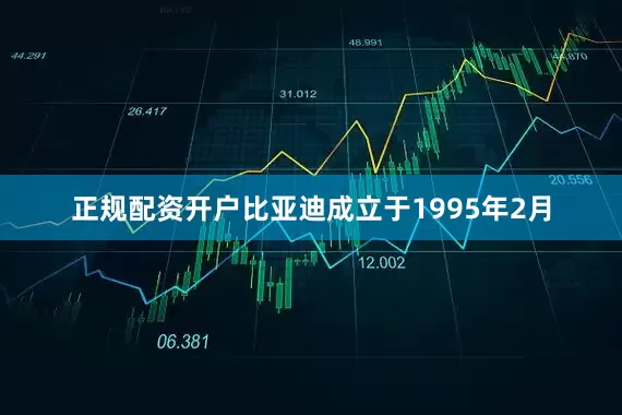 正规配资开户比亚迪成立于1995年2月