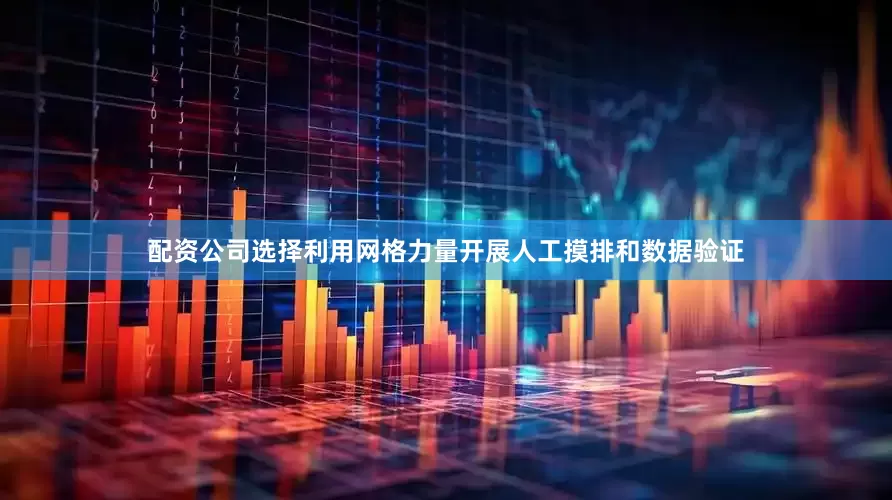 配资公司选择利用网格力量开展人工摸排和数据验证